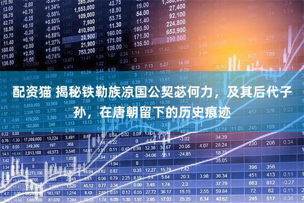 配资猫 揭秘铁勒族凉国公契苾何力，及其后代子孙，在唐朝留下的历史痕迹