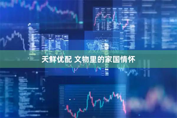 天鲜优配 文物里的家国情怀