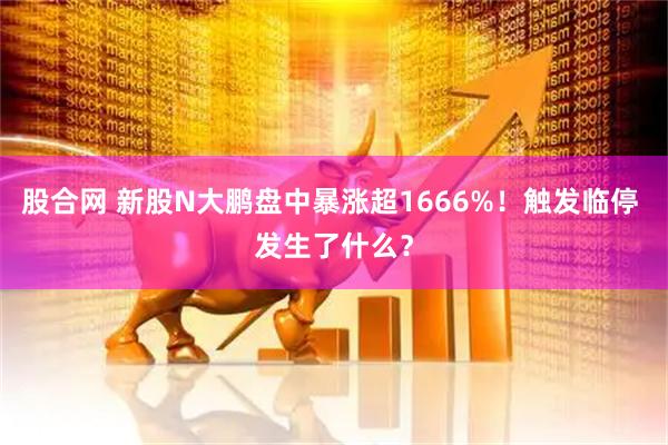 股合网 新股N大鹏盘中暴涨超1666%!触发临停 发生了什么?