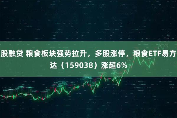 股融贷 粮食板块强势拉升，多股涨停，粮食ETF易方达（159038）涨超6%