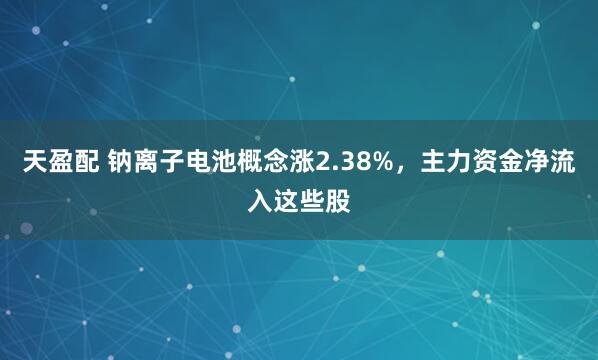 天盈配 钠离子电池概念涨2.38%，主力资金净流入这些股